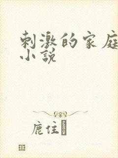 刺激的家庭乱仑小说