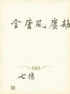 金庸风尘劫
