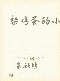 柴鸡蛋的小说封面