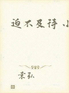 迫不及待 小穴