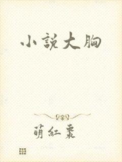 小说大胸封面