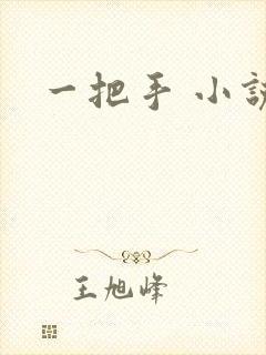 一把手 小说