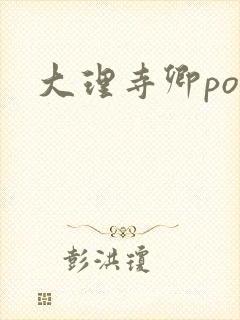 大理寺卿po封面