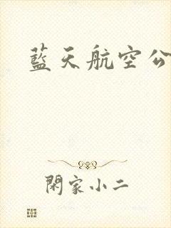 蓝天航空公司封面