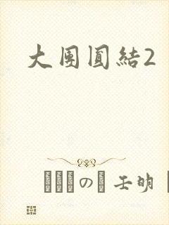 大团圆结2封面