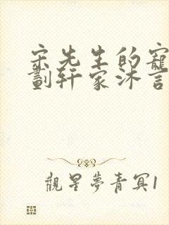 宋先生的宠妻计划轩家沐言封面