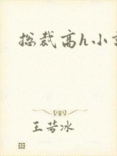 总裁高h小说封面