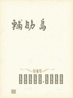 辅助岛封面