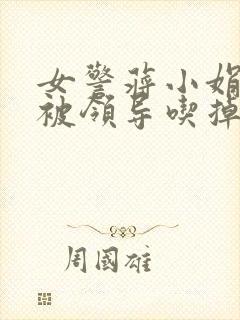 女警蒋小娟的奶被领导吃掉了封面