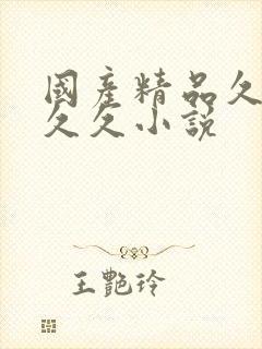 国产精品久久久久久小说