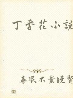 丁香花小说