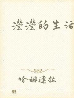 滢滢的生活日记