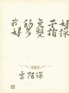我的兔子好软水好多双指探洞小说封面