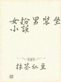 女扮男装坐江山小说
