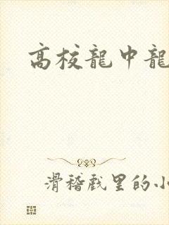 高校龙中龙