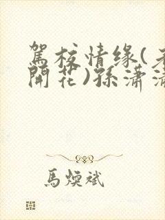 驾校情缘(老树开花)孙潇潇笔趣阁封面