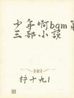 少年啊bgm第三部小说