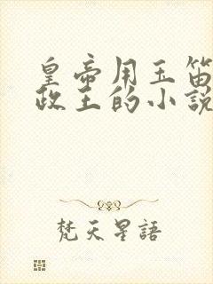 皇帝用玉笛整摄政王的小说