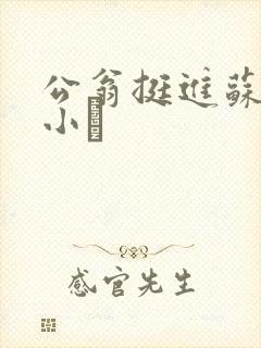 公翁挺进苏玥的小泬
