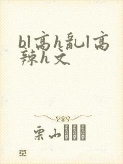 bl高h乱l高辣h文封面