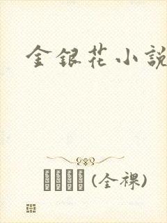 金银花小说乐可封面