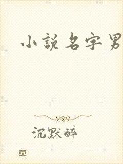 小说名字男生