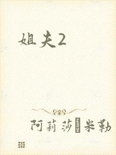 姐夫2
