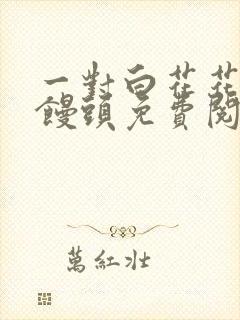 一对白花花的大馒头免费阅读