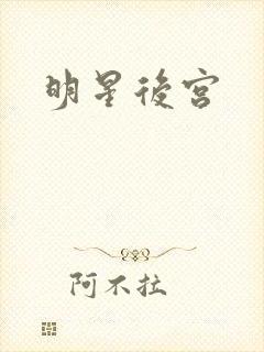明星后宫