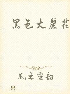 黑色大丽花图片