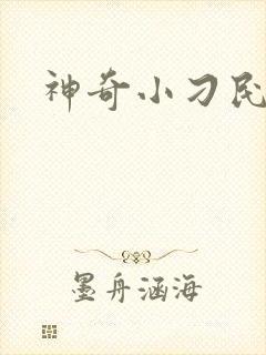 神奇小刁民封面