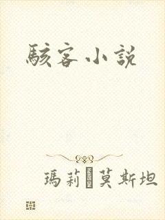 骇客小说