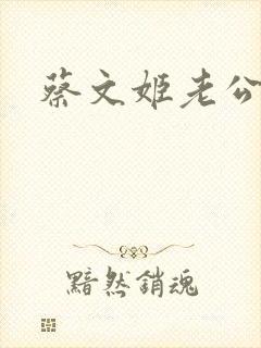 蔡文姬老公