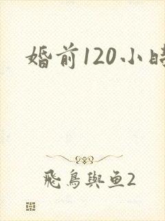婚前120小时