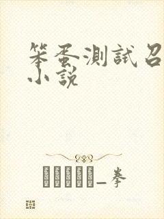 笨蛋测试召唤兽小说