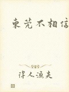 东莞不相信眼泪