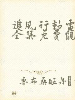 追风行动电视剧全集免费观看