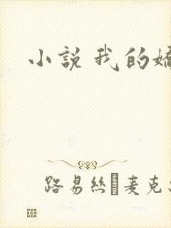 小说 我的娇妻