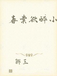 春棠欲醉小说封面