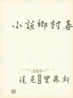 小说乡村春光封面