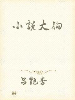 小说大胸封面