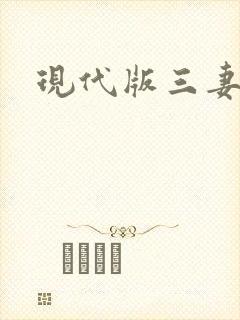 现代版三妻四妾封面