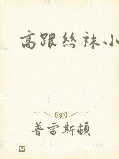 高跟丝袜小说