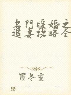 名门暖婚之权爷追妻攻略全文免费阅读