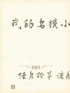 我的名模小娇妻