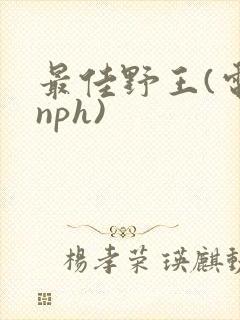最佳野王(电竞nph)