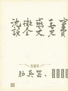沈微燕王穿越小说全文免费阅读封面