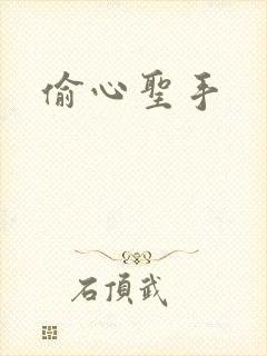 偷心圣手