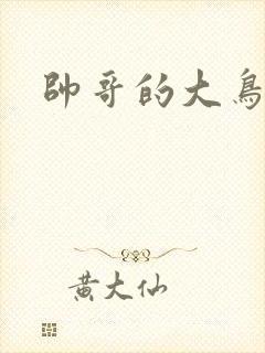 帅哥的大鸟