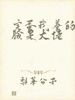 完蛋我养的小白脸是大佬